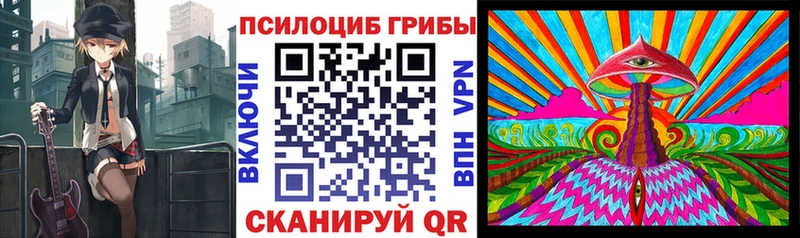 darknet как зайти  цена наркотик  Коряжма  Псилоцибиновые грибы мицелий 